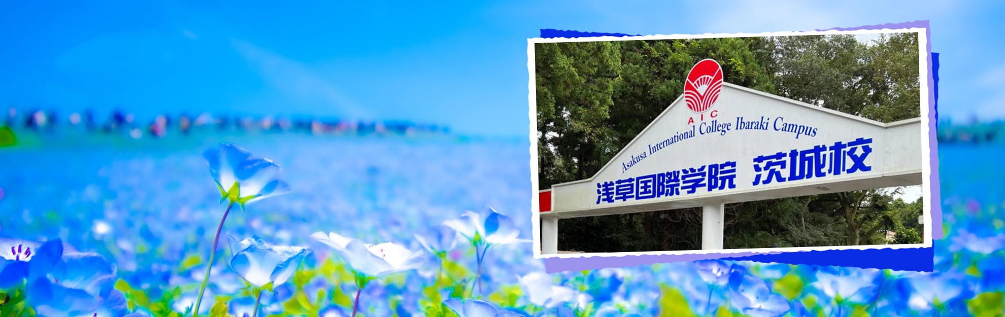 浅草国際学院茨城校